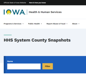 HHS System County Snapshots